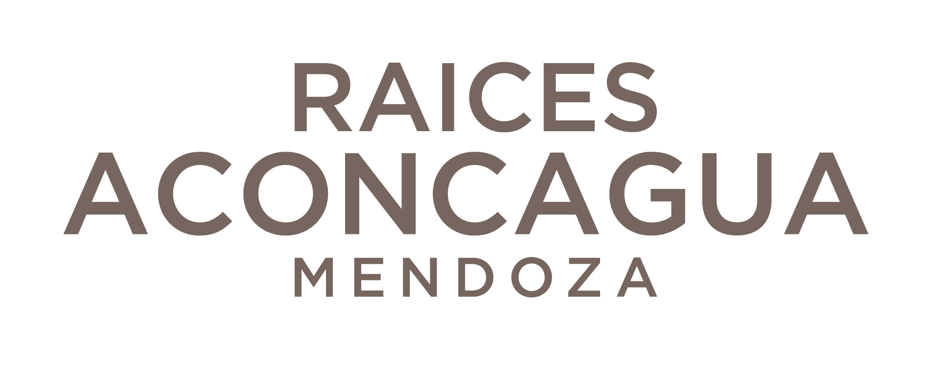 Hotel Raices Aconcagua