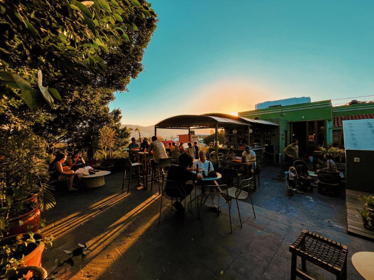 Viajero Oaxaca Hostel